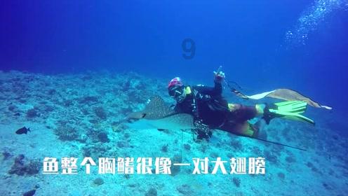 448亿元！中沙古雷乙烯项目完成最终投资决策